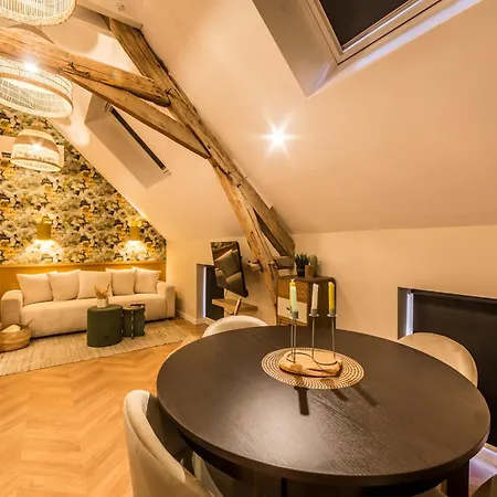 L'oree Champenoise - 4 De Luxe 12 Pers Ferienhaus Champfleury (Marne)