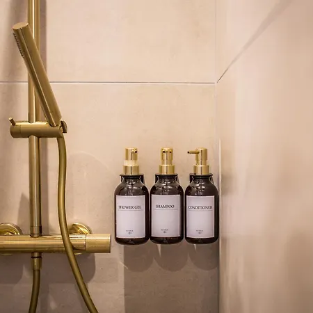 L'oree Champenoise - 4 De Luxe 12 Pers Ferienhaus Champfleury (Marne)